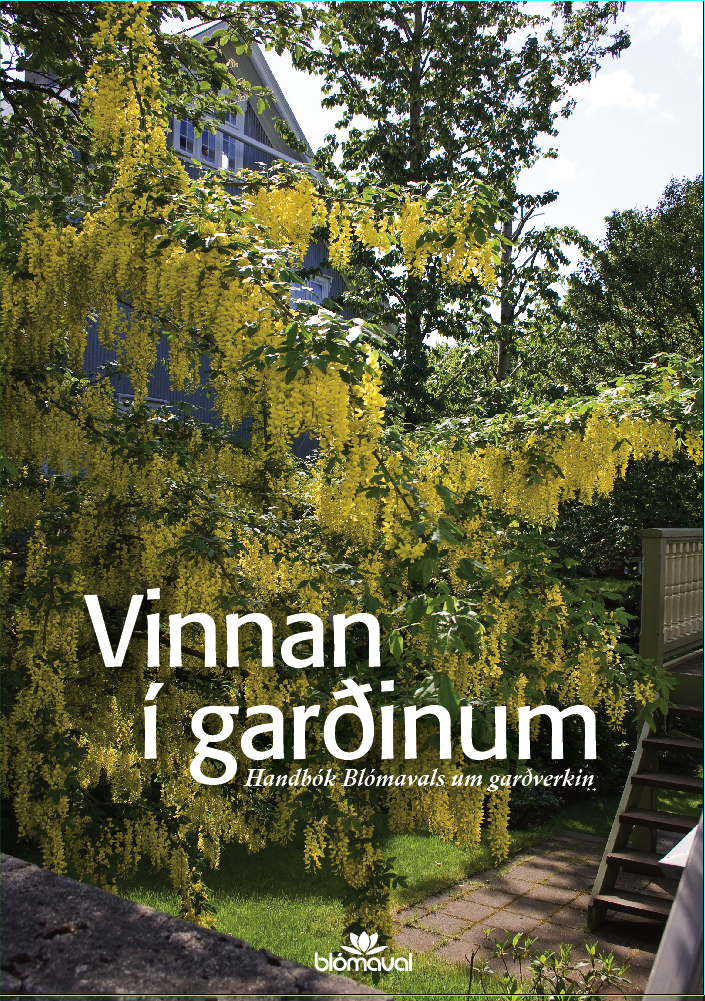 Vinnan í garðinum