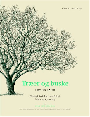 Træer og buske i by og land